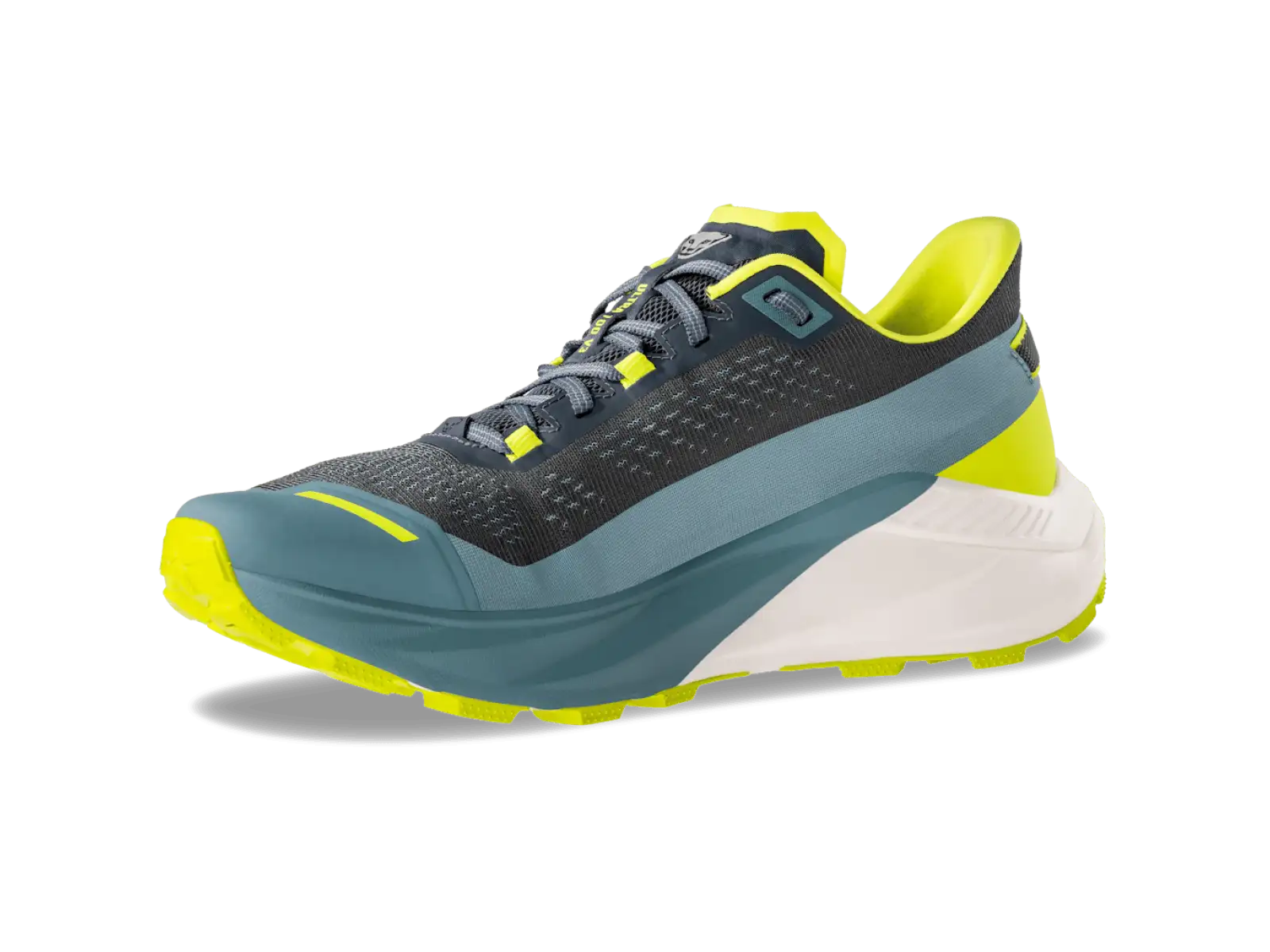 Dynafit Ultra 100 V3 męskie buty do biegania Smoke Blue/Cinder
