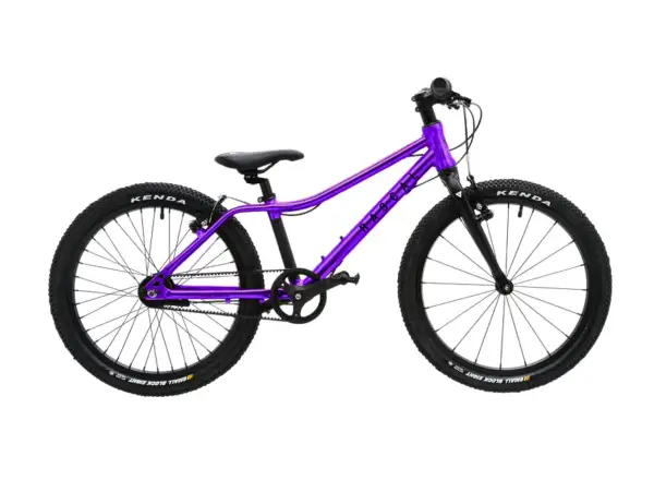 Rascal 20 rower dziecięcy Amethyst Limited