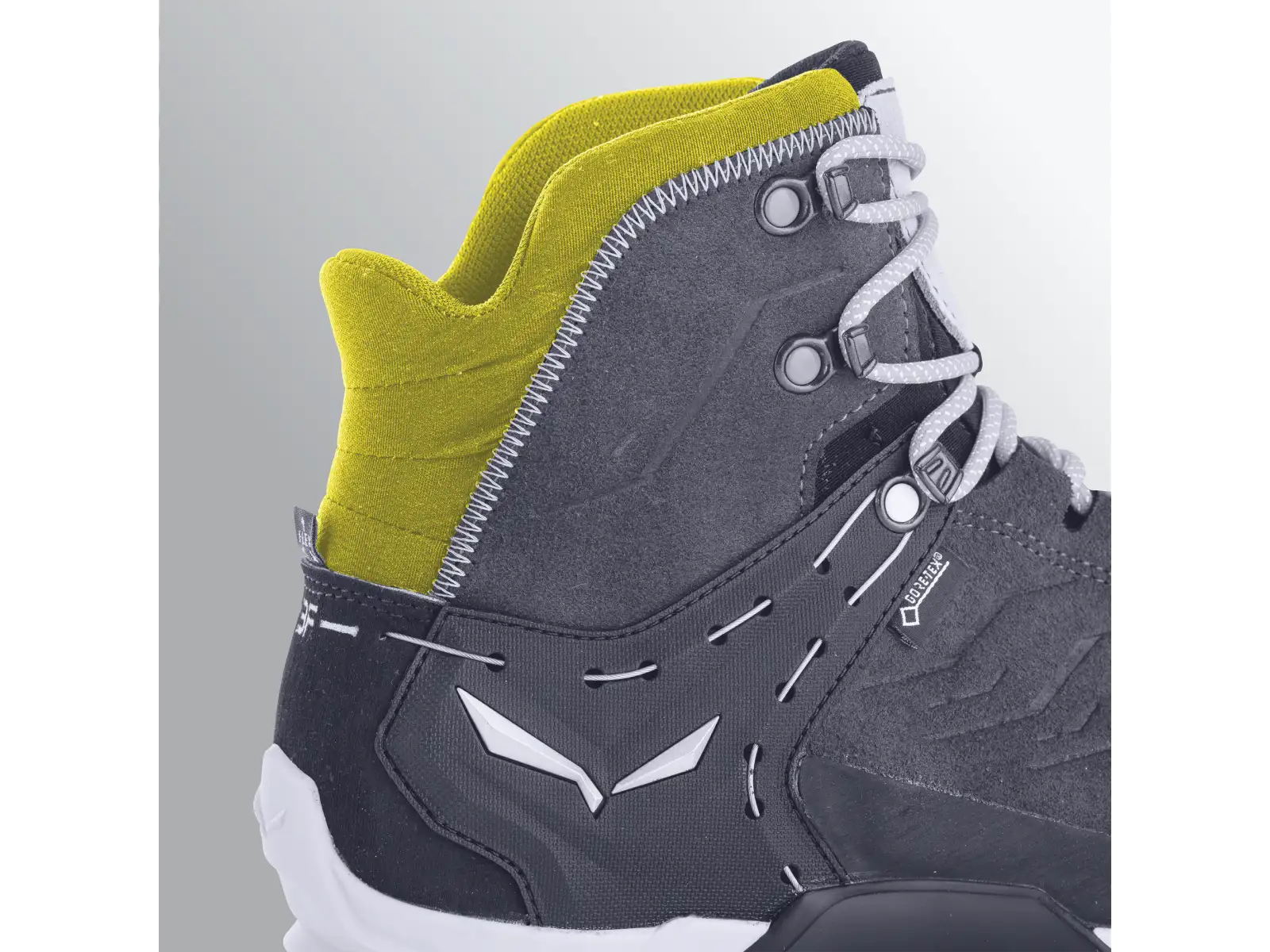Salewa Alp Trainer 2 GTX męskie buty Bungee Cord/Black