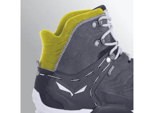 Salewa Alp Trainer 2 GTX męskie buty Bungee Cord/Black