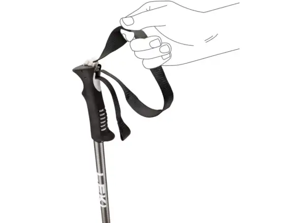 Leki Primacy zjazdowe kije Black/Light Anthracite/White