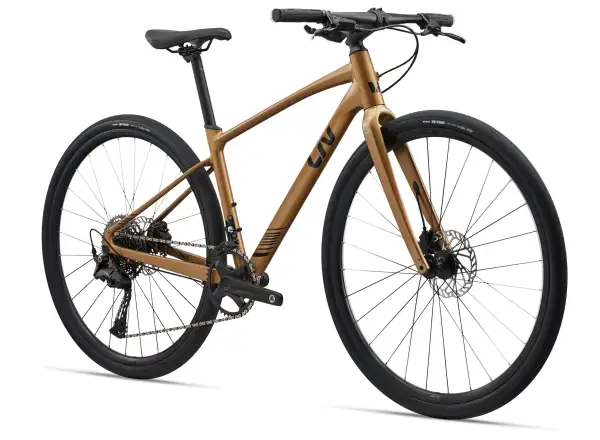 Liv Thrive 1 rower fitness Steampunk