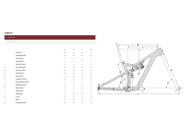 Focus JAM 6.9 rower górski Lightgrey/Macha