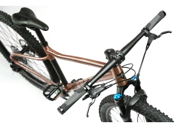 Rascal Wild 27 rower dziecięcy Bronze