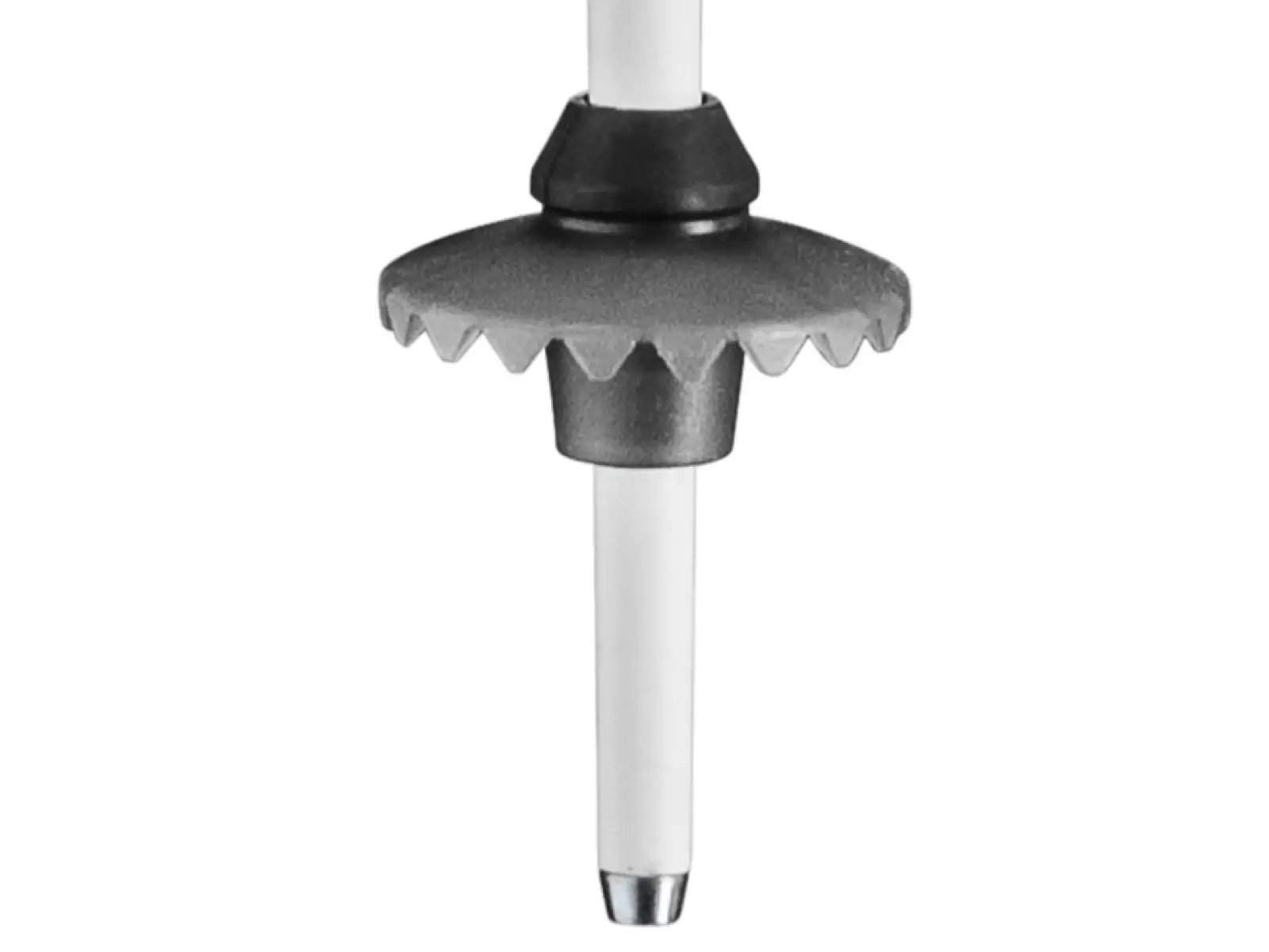 Leki Stella S kijki zjazdowe White/Silver/Whitegold