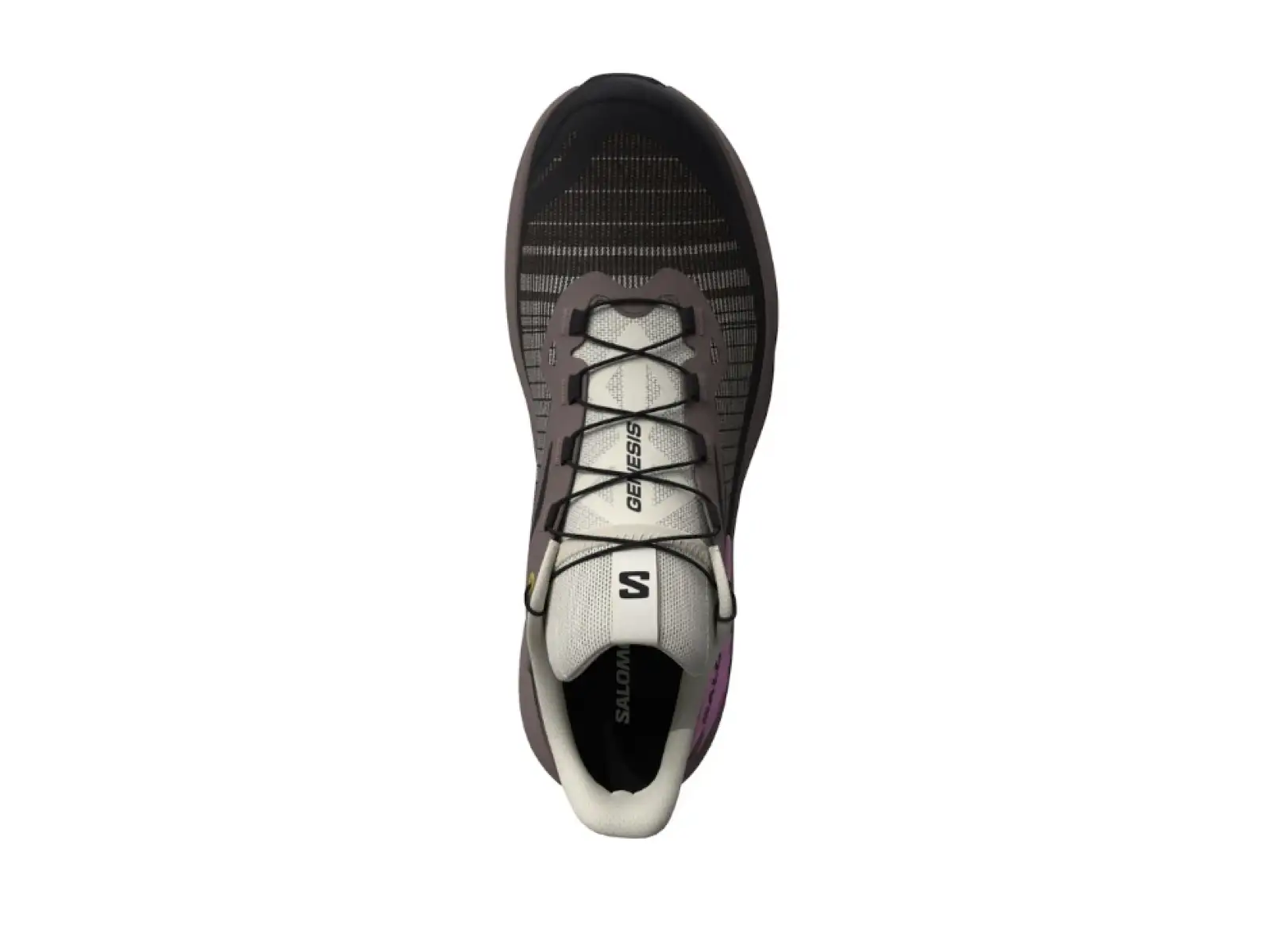 Salomon Genesis damskie buty do biegania Iron/Vanilla Ice/Cyclamen