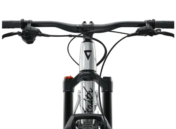 Giant Faith 24 dziecięcy rower fullsuspension Raw Aluminium