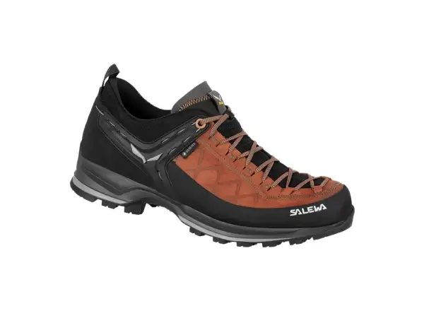 Salewa Mountain Trainer 2 GTX męskie buty trekkingowe Autumnal/Black