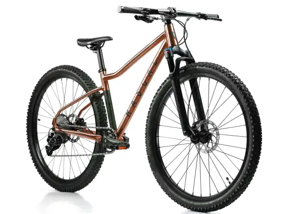 Rascal Wild 27 rower dziecięcy Bronze