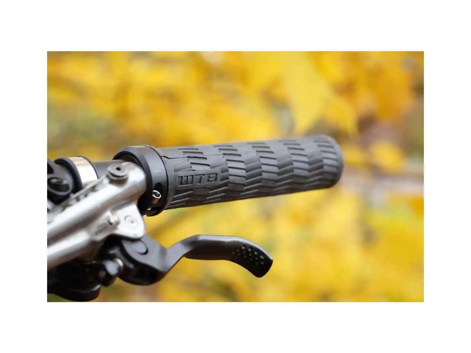 WTB Burr Single Clamp chwyty czarna
