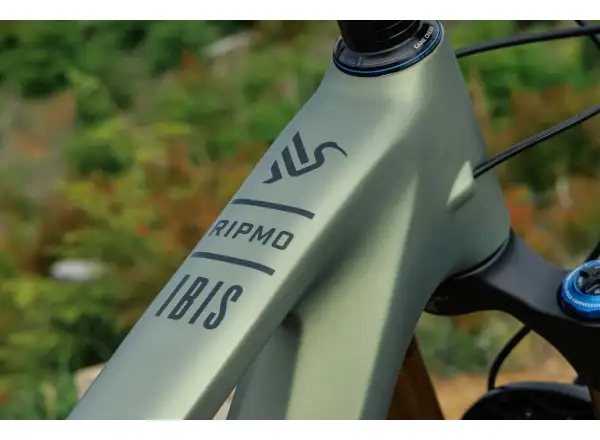 Ibis Ripmo V3 Eagle 90 rower górski Olive Swamp Monster