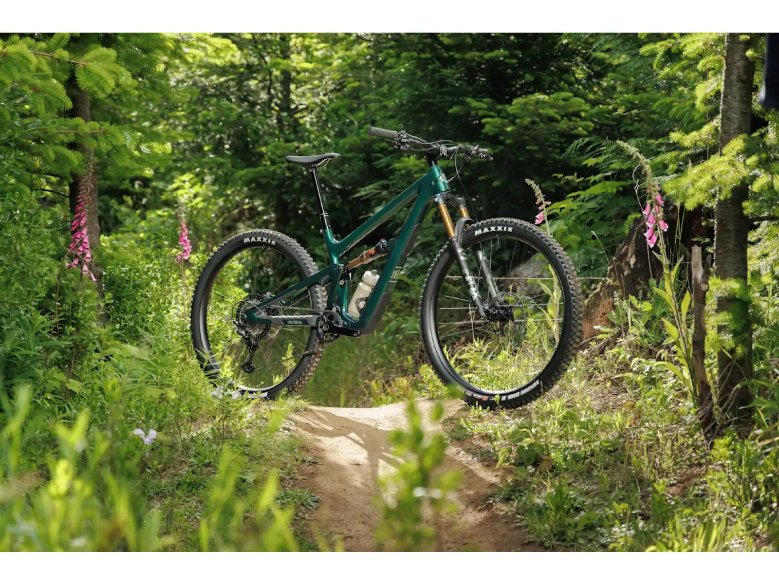 Ibis Ripley V5 zestaw ram Green Flash