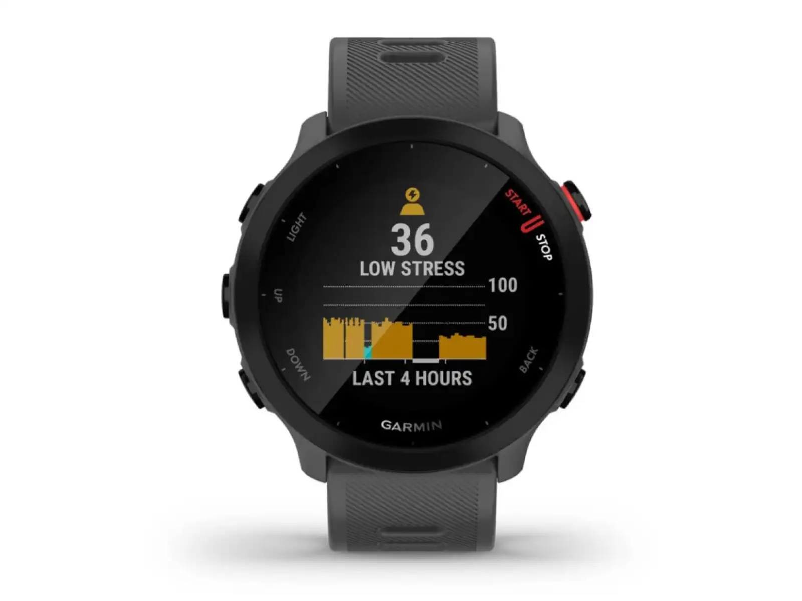 Garmin Forerunner 55 inteligentny zegarek Grey