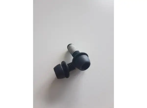 Sram Mounting Bolts stalowe śruby do zacisku 2 szt