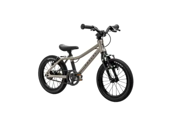 Rascal 14 rower dziecięcy Titanium