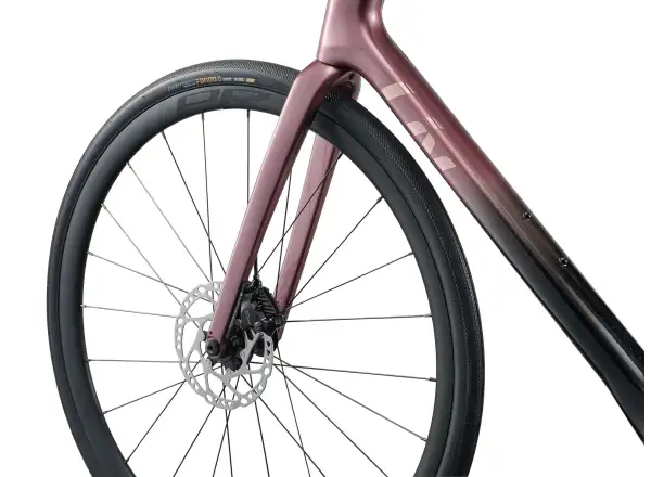 Liv Avail Advanced 1 rower szosowy Iron Rouge/Carbon