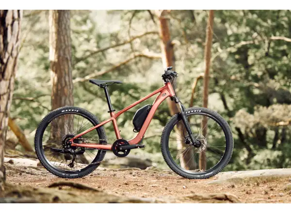 Giant Talon E+ Junior 24 dziecięcy rower elektryczny Terracotta