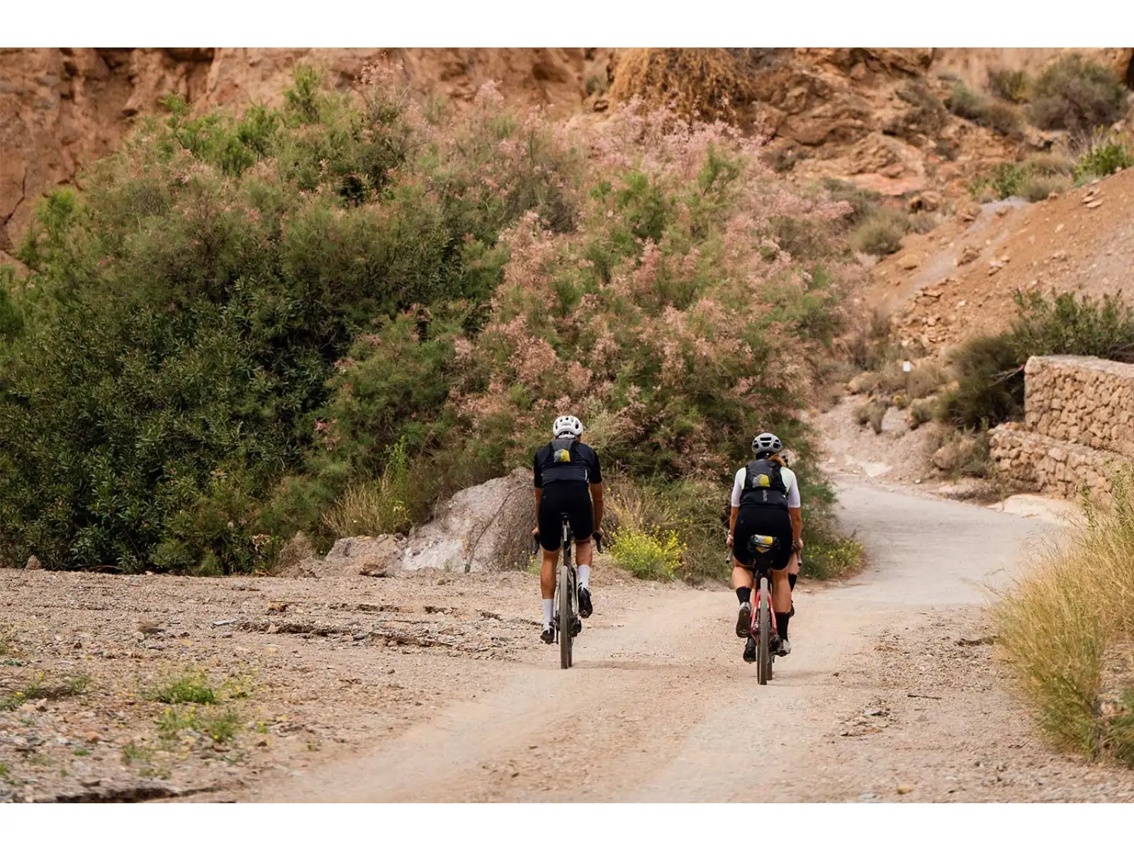 Apidura Racing Hydration kamizelka rowerowa 2 l czarna