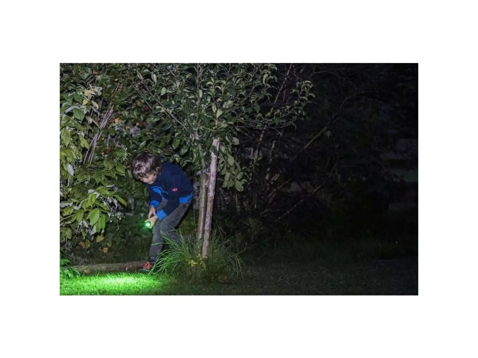 Ledlenser KidBeam4 Dino Latarka