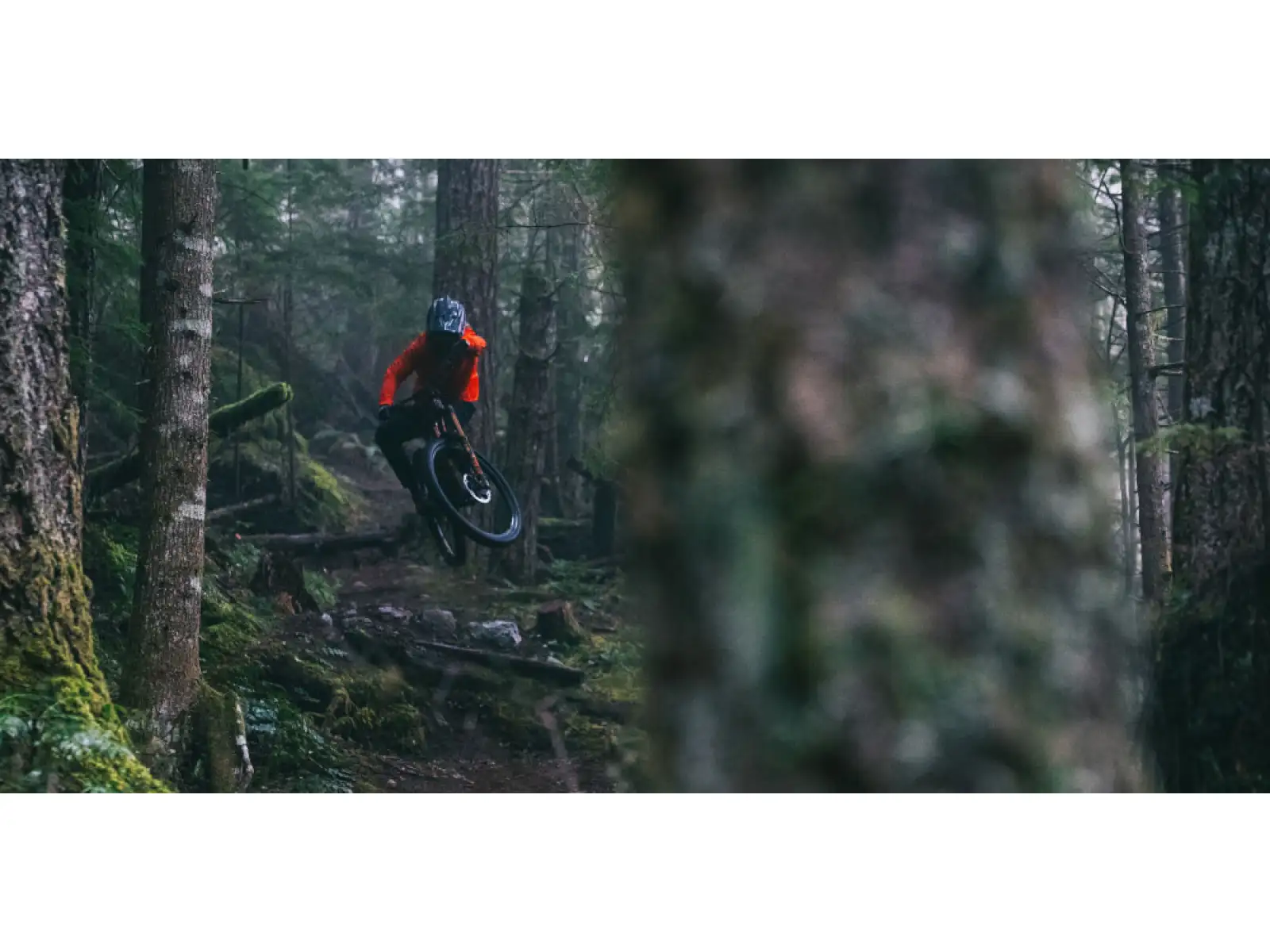 Fox 36 Float Grip2 29" przedni widelec 160 mm 15x110 mm 44 mm wyprzedzenie pomarańczowa 2022