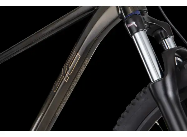 4Ever Frontbee XCM 29" rower górski Gold galaxy