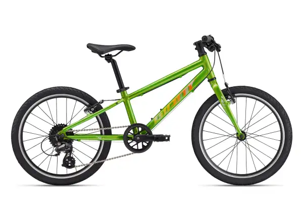 Giant ARX 20 rower dziecięcy Metallic Green