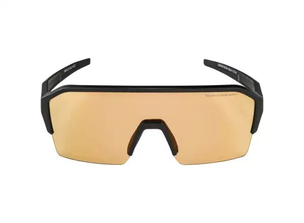 Alpina Ram HR Q-Lite V okulary Black Matt