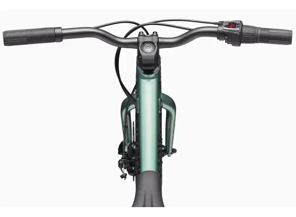 Cannondale Kids Trail Plus 20 rower dziecięcy Cactus Green