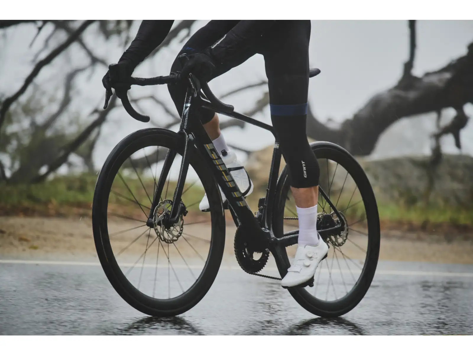 Giant TCR Advanced Pro 1 Di2 rower szosowy Carbon
