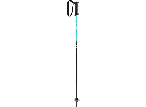 Leki Rider dziecięce kijki narciarskie zjazdowe darkblue-light turquoise-white