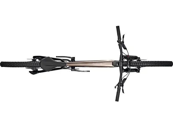 Focus Raven 8.9 DI 29" rower górski Silver Glossy / Carbon Raw Glossy
