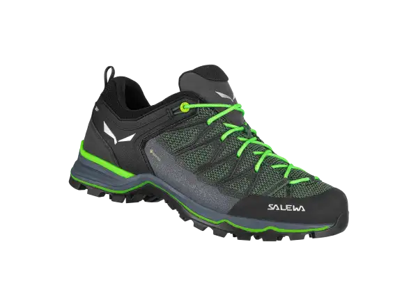 Salewa Mountain Trainer Lite GTX męskie buty turystyczne Myrtle/Ombre Blue