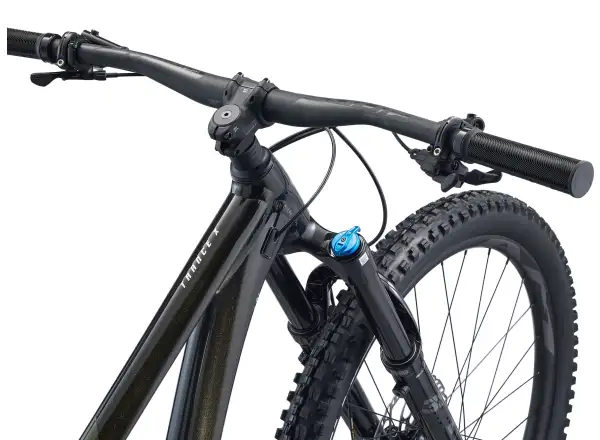 Giant Trance X 29 1 rower full suspension Panther