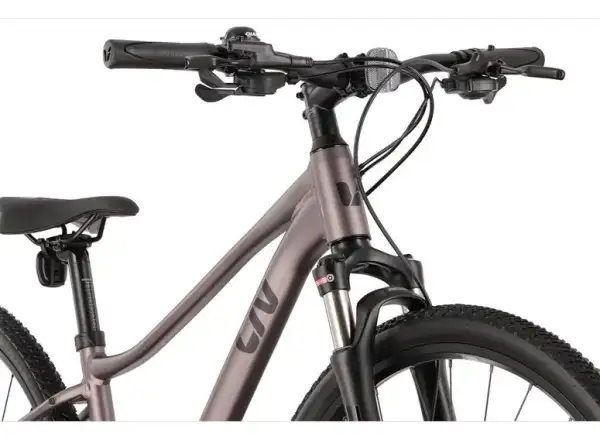 Liv Rove 1 DD damski rower trekkingowy Dark Eclipse