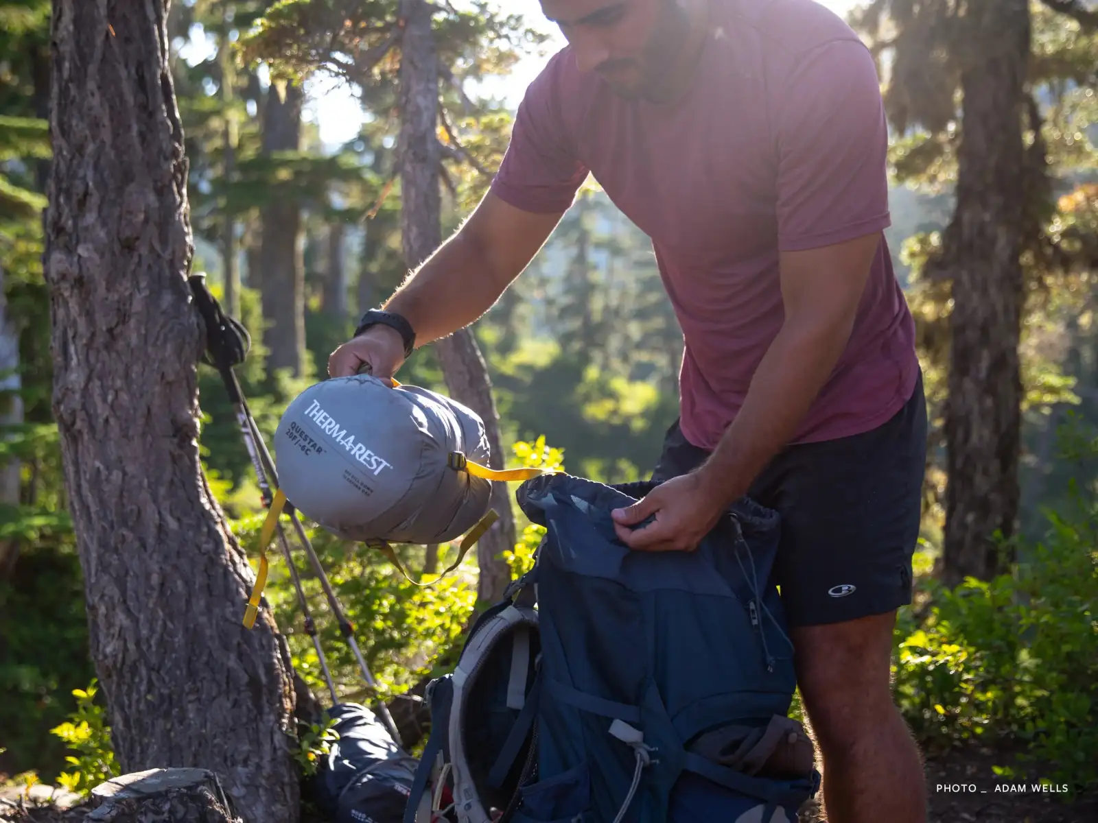 Therm-A-Rest Questar Regular Śpiwór -6 °C Balsam