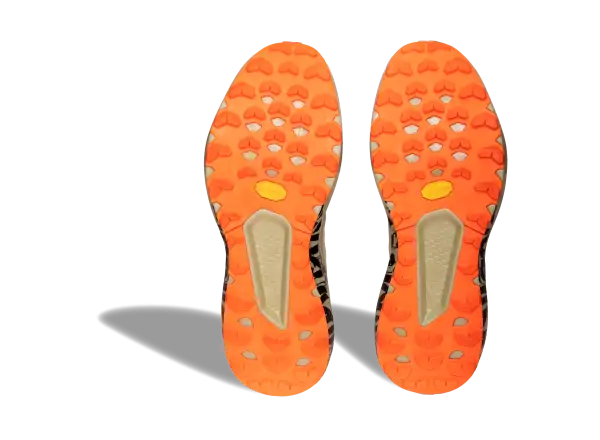 Dynafit Trail Graphic męskie buty do biegania Overcast/Black Out