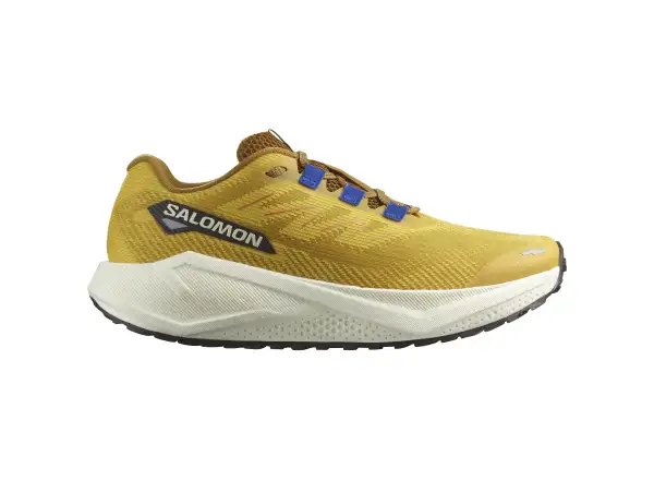 Salomon Aero Blaze 3 GRVL męskie buty do biegania Spicy Mustard