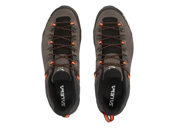 Salewa Alp Trainer 2 męskie buty Bungee Cord / Black