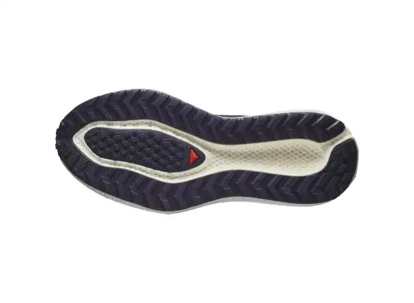 Salomon Aero Glide 3 GRVL męskie buty do biegania Astral Aura/Vanilla Ice/Haute Red
