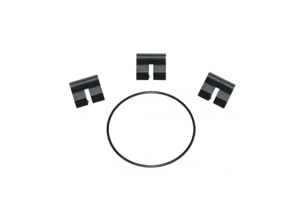 DT Swiss set of 3 flags and 1 spring