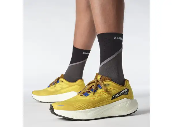 Salomon Aero Blaze 3 GRVL męskie buty do biegania Spicy Mustard