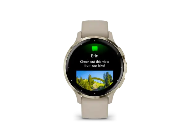 Garmin Venu 3S smartwatch Soft Gold/French Gray