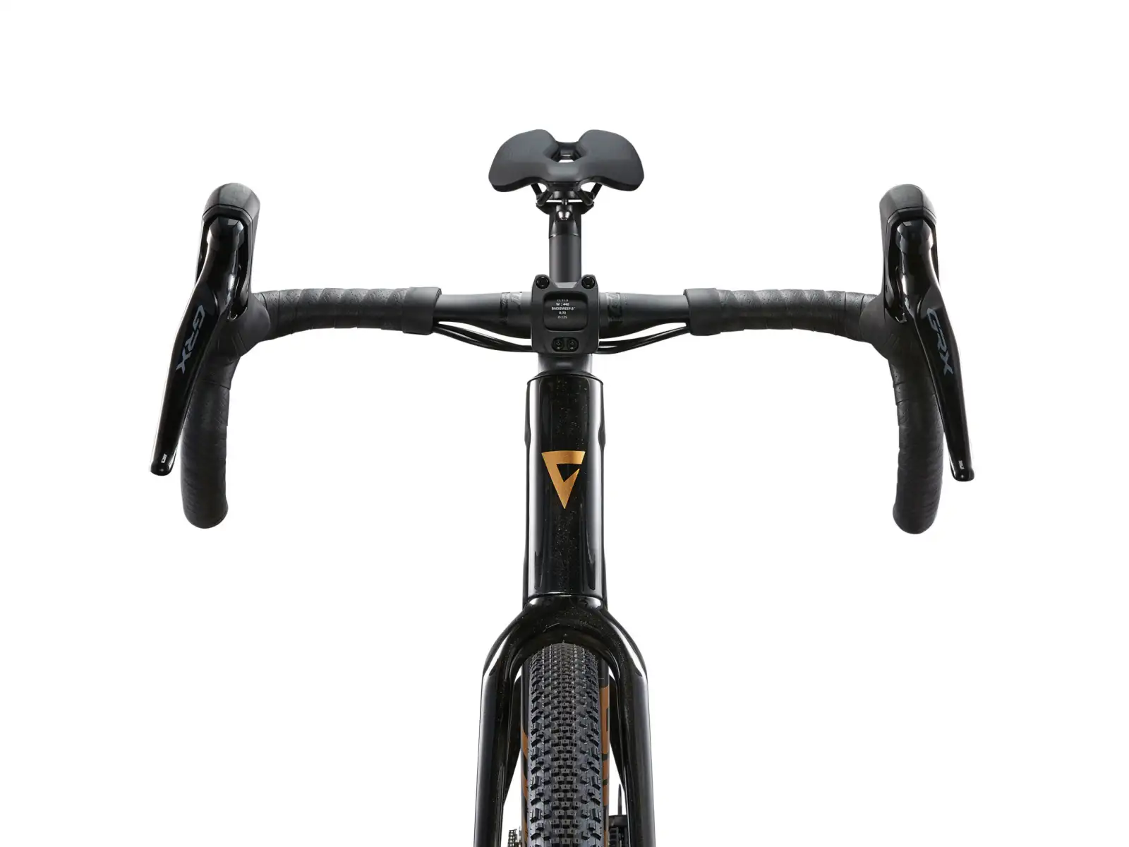 Giant Revolt Advanced 3 gravel rower Panther