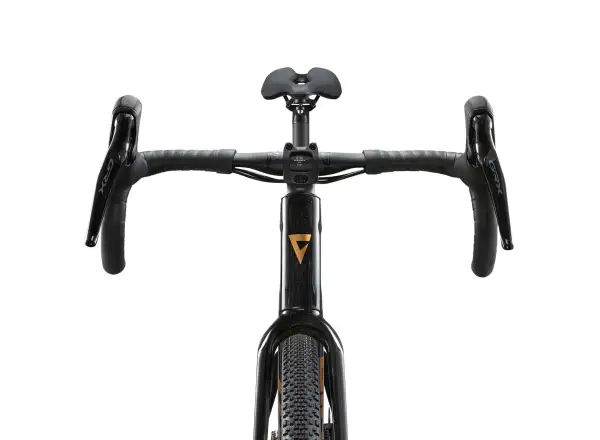 Giant Revolt Advanced 3 gravel rower Panther
