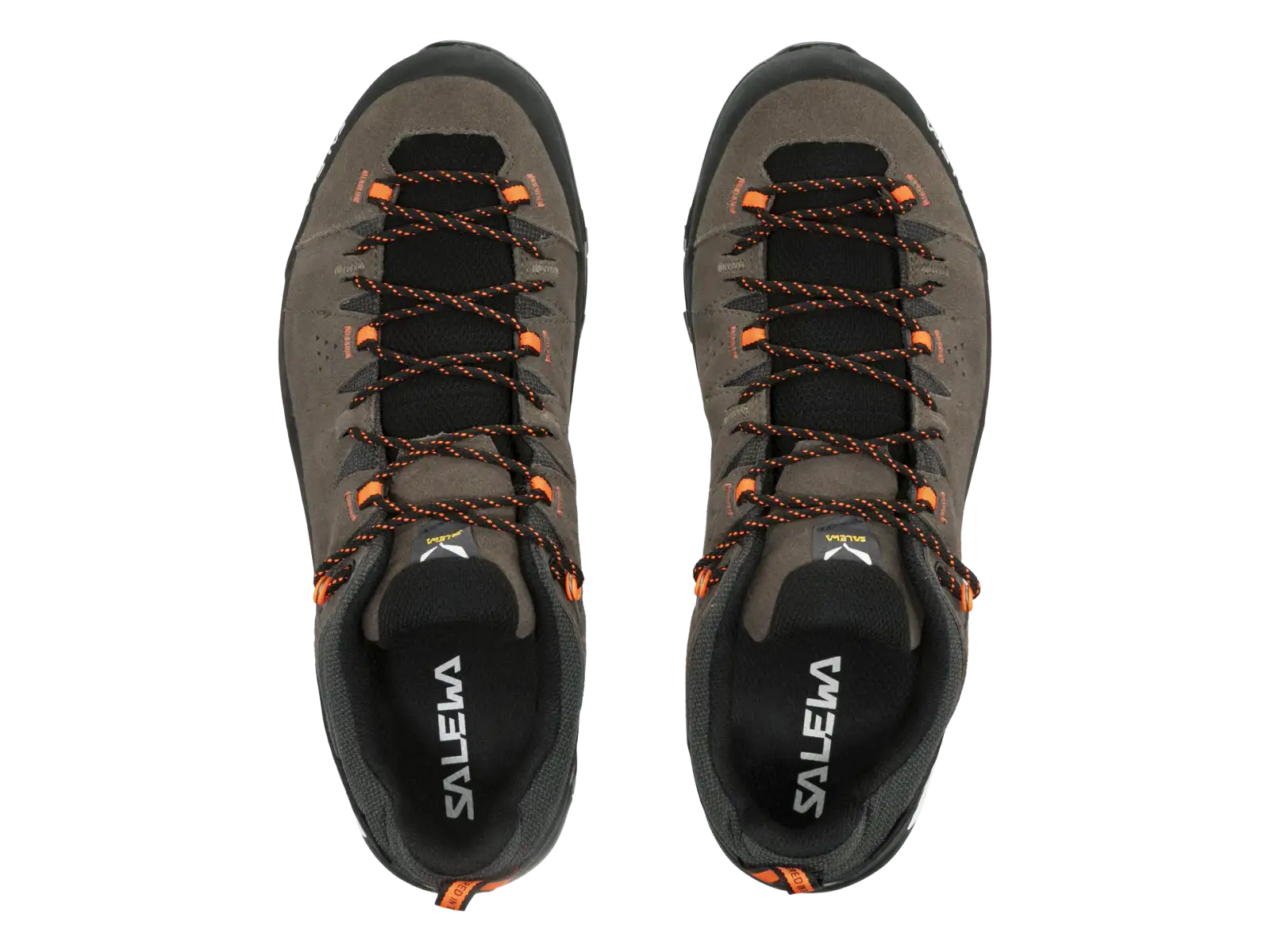 Salewa Alp Trainer 2 GTX męskie buty Bungee Cord/Black