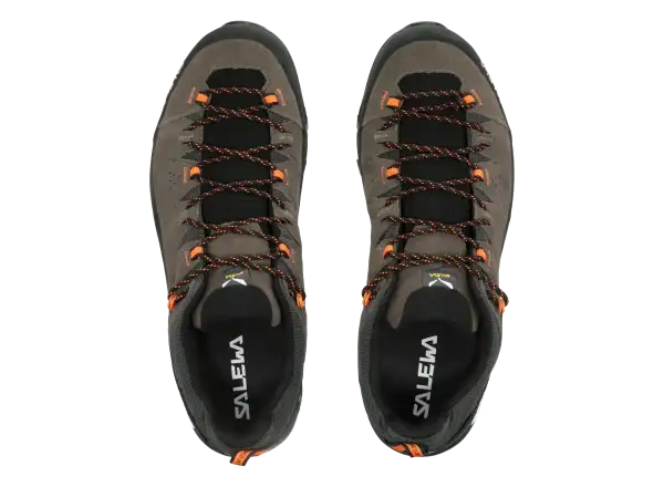 Salewa Alp Trainer 2 GTX męskie buty Bungee Cord/Black