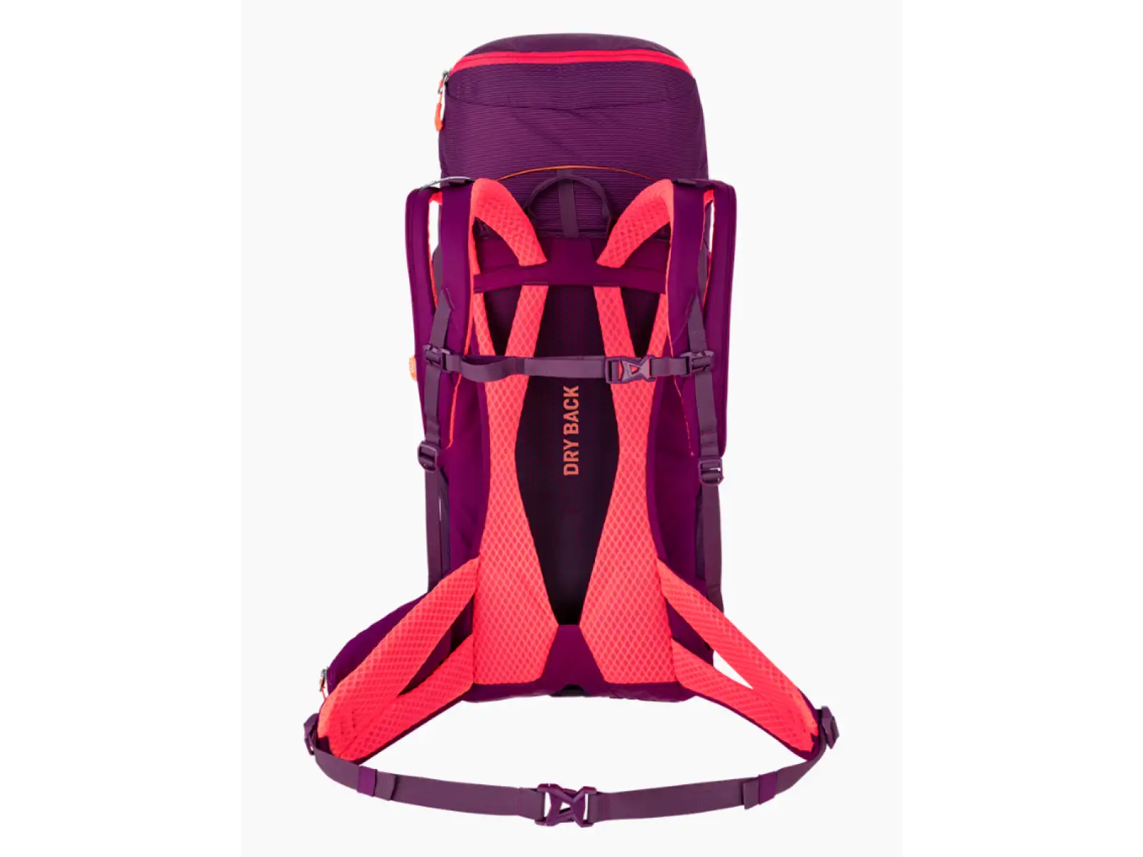 Salewa Alp Trainer 30 l + 3 l damski plecak Syrah