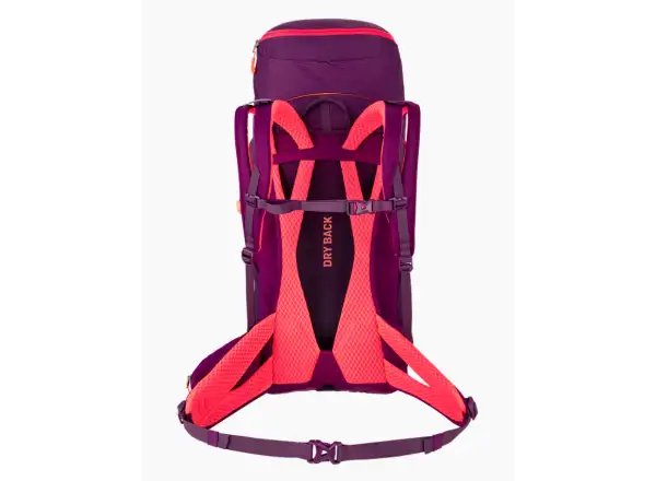 Salewa Alp Trainer 30 l + 3 l damski plecak Syrah