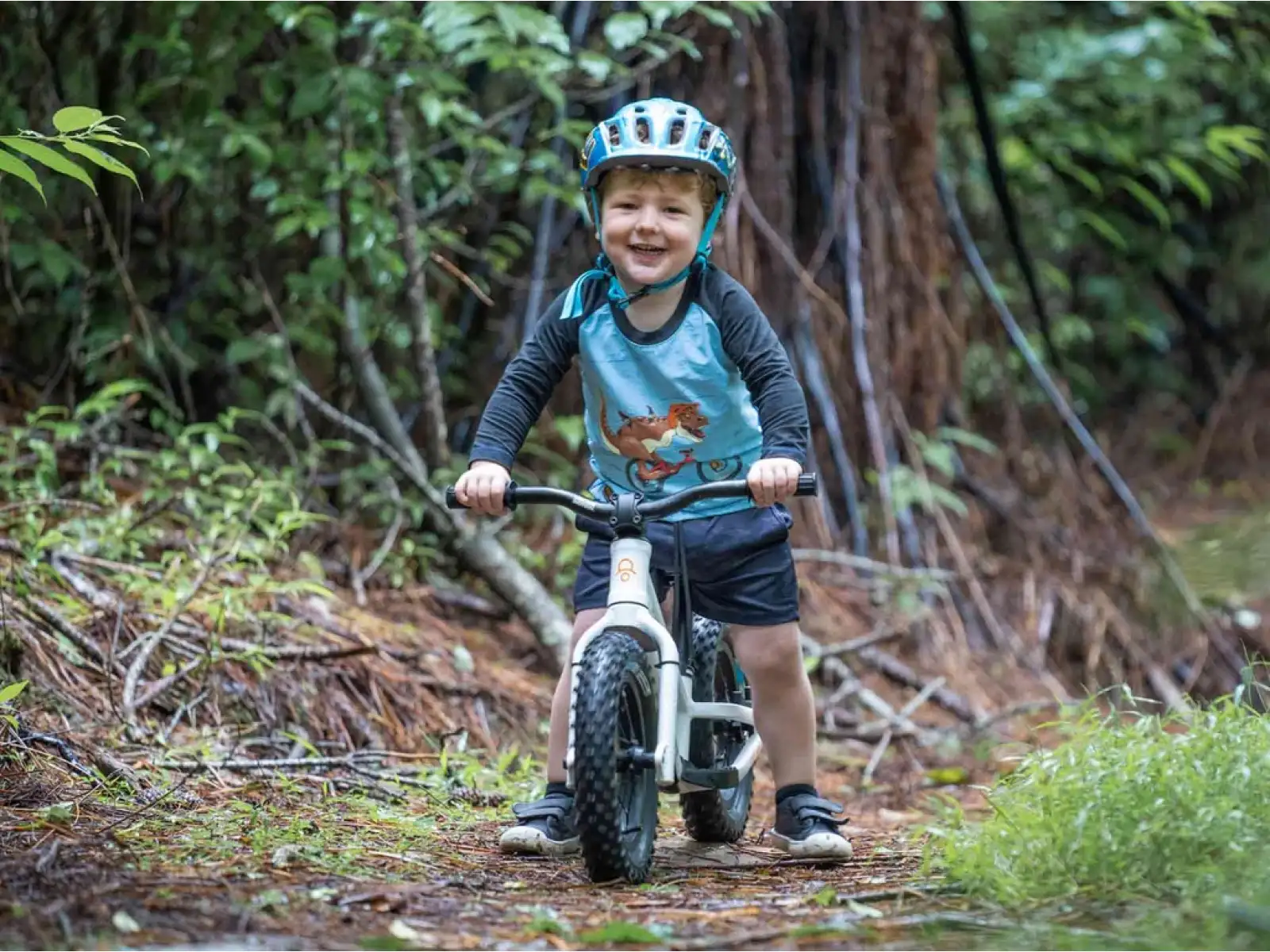 Kids Ride Shotgun Dirt Hero 12 rowerek biegowy