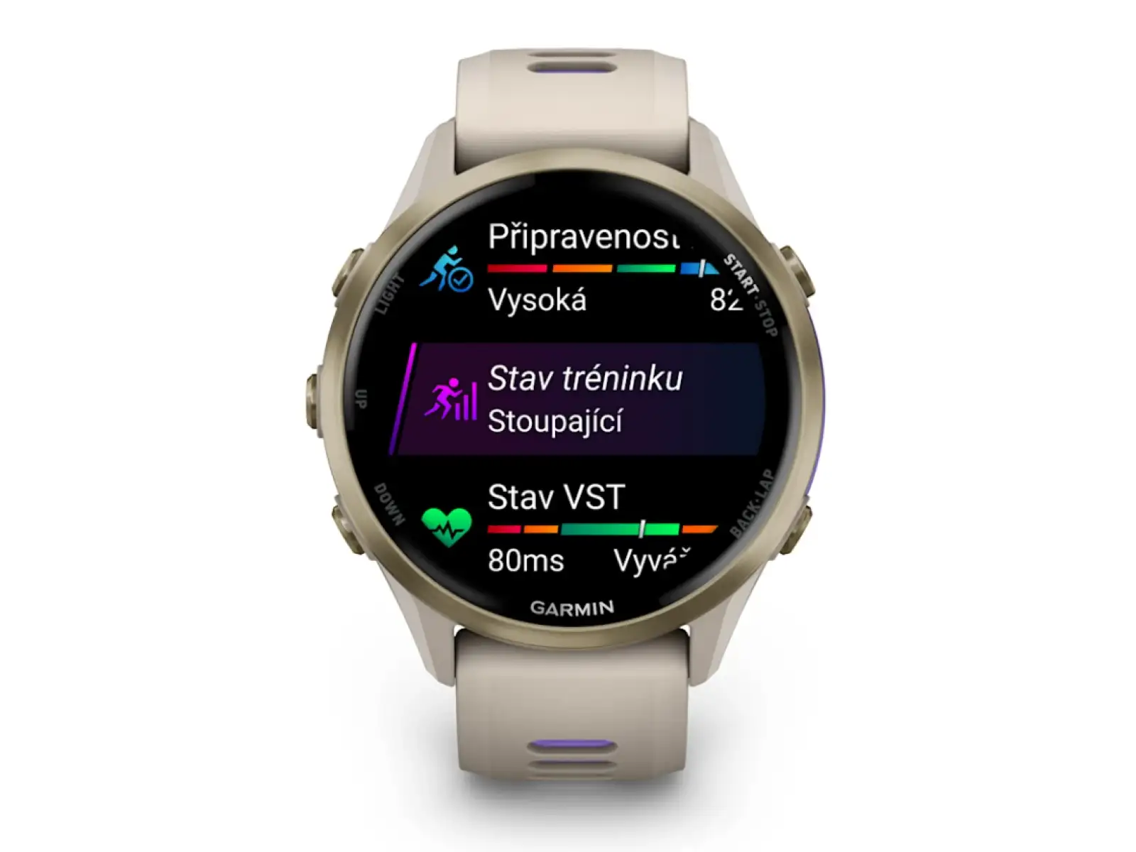 Garmin Forerunner 970 inteligentny zegarek French Grey/Indigo
